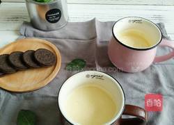 奥利奥盆栽冰淇淋的做法图解6