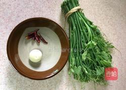 素炒佛手瓜苗的做法图解2