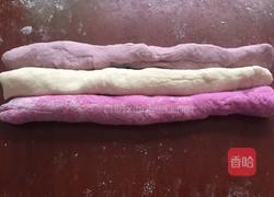 彩色鸡肉包的做法图解9