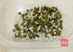 绿豆薏米粥的做法图解3