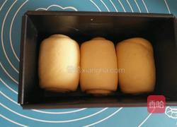 奶香土司的做法图解6