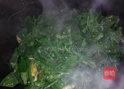 清炒洋瓜尖的做法图解4