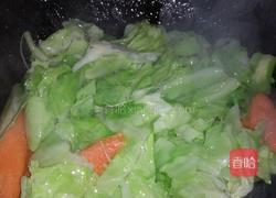 清炒莲花白的做法图解3