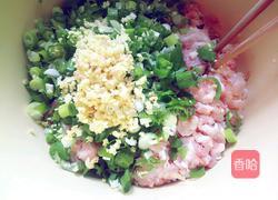 猪肉茴香包子的做法图解6
