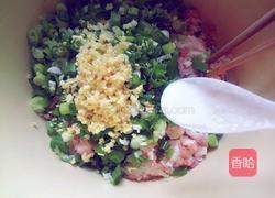 猪肉茴香包子的做法图解10