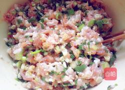 猪肉茴香包子的做法图解14