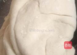 天津狗不理包子的做法图解9