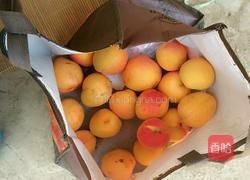 自制杏干的做法图解1