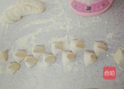 胡萝卜牛肉包子的做法图解8