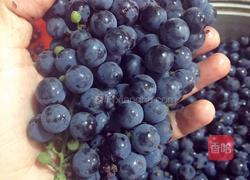 山葡萄酒的做法图解1