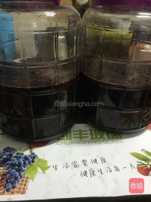 放入发酵瓶，将葡萄捏碎。前五天每天开瓶捏一次，后二十天每三天开瓶捏一次。25天后去皮淋净，放俩月开喝，放一年口感更佳。比买的好喝。