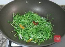 上汤豆苗的做法图解8