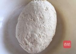 打卤面(角瓜肉丝卤)的做法图解3
