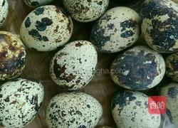 苦瓜鹌鹑蛋的做法图解5