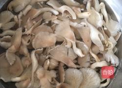 香酥凤尾蘑的做法图解3