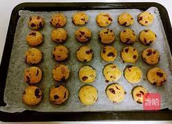 蔓越莓奶香小酥饼的做法图解18