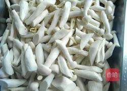 白茹炒肉的做法图解1