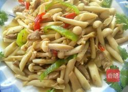 白茹炒肉的做法图解7