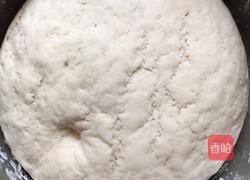 韭菜猪肉粉条包子的做法图解2