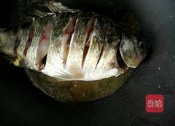 红烧鲫鱼的做法图解4