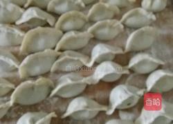 头伏饺子的做法图解8