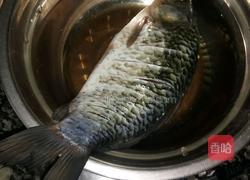 农夫鲫鱼的做法图解1