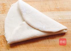 蝴蝶水煎饺的做法图解6