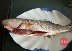 清蒸海鲈鱼的做法图解4