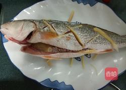 清蒸海鲈鱼的做法图解5