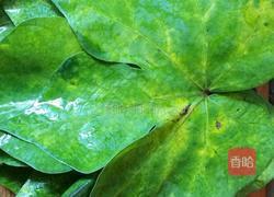 玉米面浆粑馍(改良版)的做法图解4