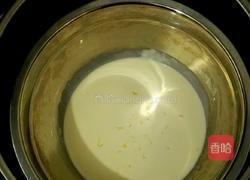 水果冰激凌的做法图解4