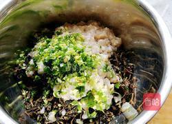 马齿苋肉皮包子馅的做法图解5