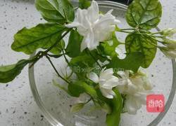 茉莉花炒鸡蛋的做法图解1