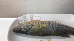 清蒸鲈鱼的做法图解4