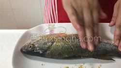 清蒸鲈鱼的做法图解6