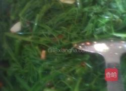 炒佛手瓜尖的做法图解3