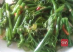 炒佛手瓜尖的做法图解4