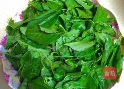 筒骨枸杞叶汤的做法图解2