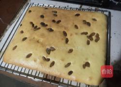 葡萄海绵蛋糕的做法图解7