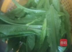 清炒油麦菜的做法图解1