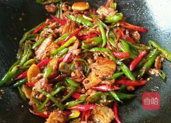 农家小炒肉的做法图解9