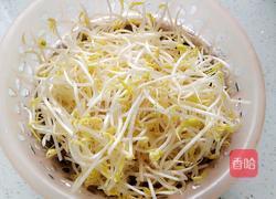炒绿豆芽的做法图解2
