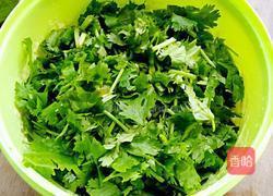 懒洋洋香菜饼的做法图解8