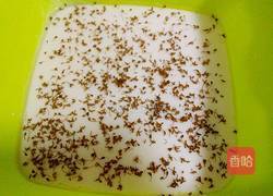 水晶桂花糕的做法图解9