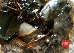 夏枯草荷叶茶的做法图解6