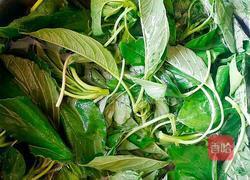 凉拌绿苋的做法图解2