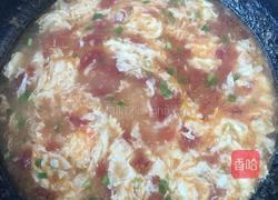 西红柿疙瘩汤的做法图解8