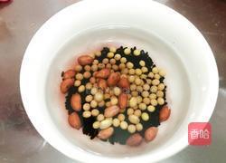 五谷豆浆(简单又健康)的做法图解1