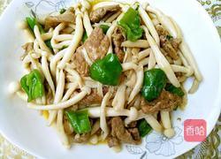 海鲜菇炒肉片的做法图解13