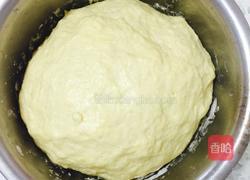 玫瑰物语（手揉面）的做法图解2